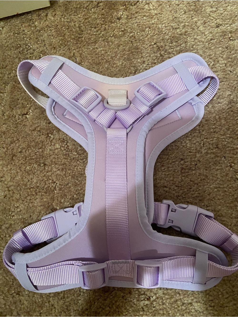 Lavender Padded No-Pull Dog Harness with Adjustable Straps